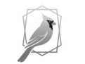 Cardinal Trade