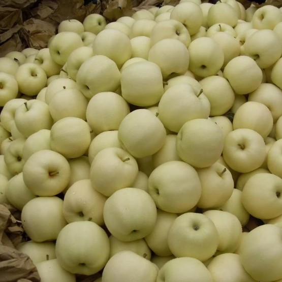 yellow apples